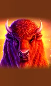 Buffalo 50